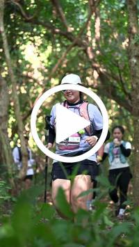 BIB:  <button type="button" onclick="openModal(28068132)" class="btn btn-primary btn-sm float-right" data-toggle="modal" data-target=".modal-high-quality">
                <i class="fa fa-download"></i> Download
                </button>